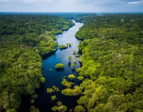 Amazonia-floresta-amazonica-topo-80