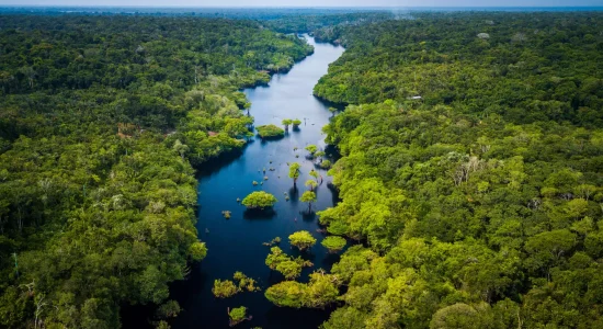 Amazonia-floresta-amazonica-topo-80