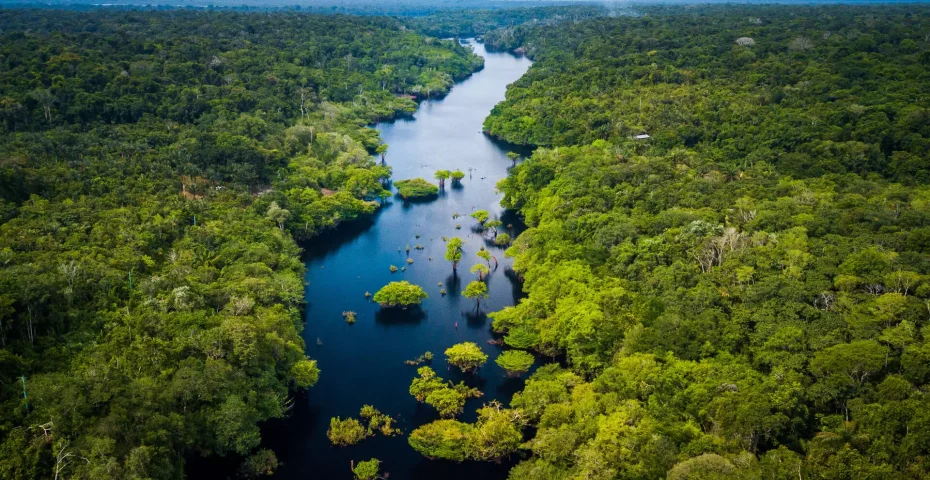 Amazonia-floresta-amazonica-topo-80